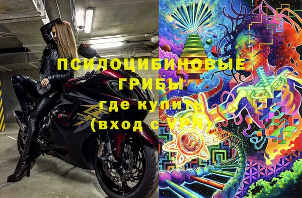 винт Дмитров