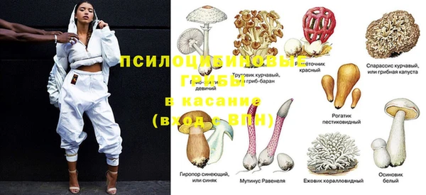 винт Дмитров