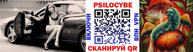 купить наркотик  Донской  Галлюциногенные грибы MAGIC MUSHROOMS 
